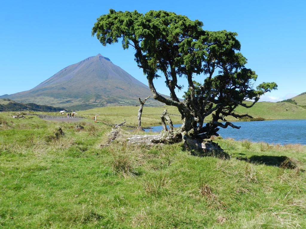 Adega Pedra Do Lagar Villa Calheta de Nesquim Ngoại thất bức ảnh